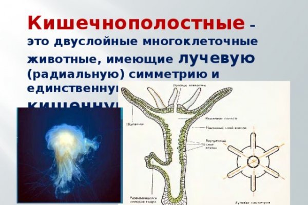 Зеркало kraken тор ссылка рабочее