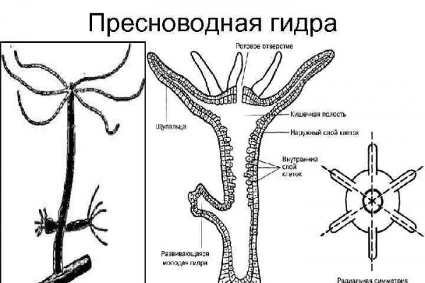 Mega даркнет megadarknetonion