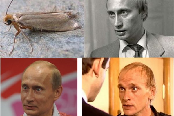 Блэкспрут BlackSprutruzxpnew4af onion