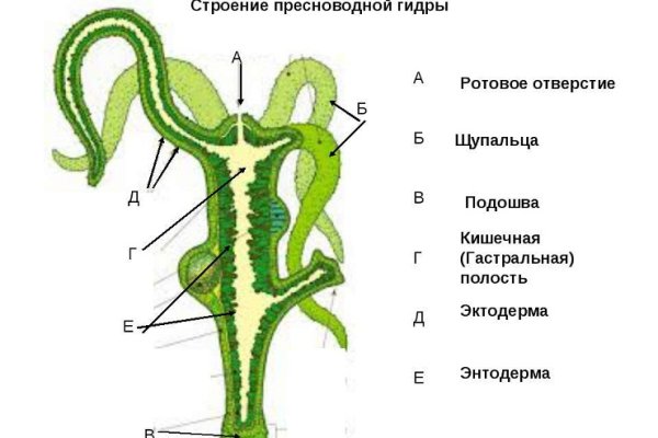 Сайт kraken тор