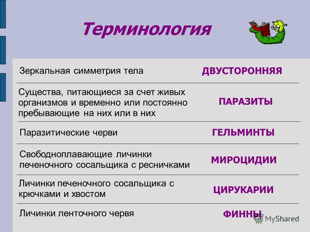 Рабочий сайт блэкспрут для тора