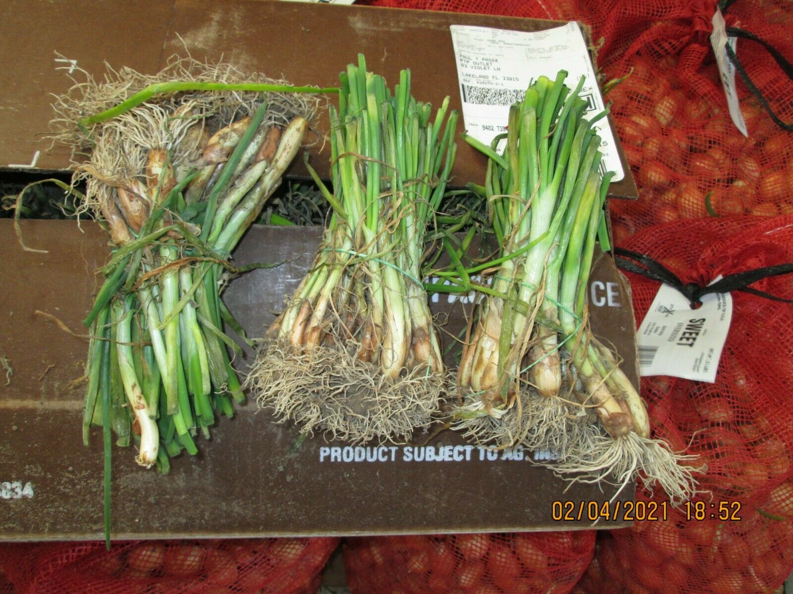 Tor hydra hydra ssylka onion com